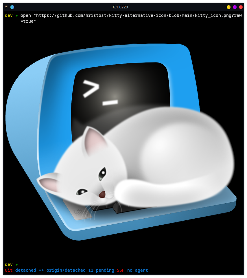 opening an image in Kitty